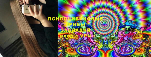 молекула духа Семилуки