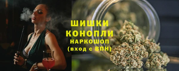трава Аркадак