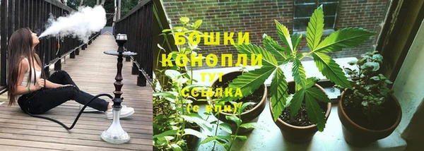 PSILOCYBIN Армянск