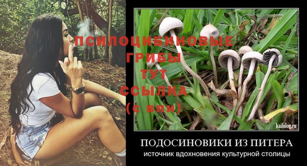 PSILOCYBIN Армянск